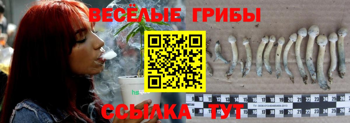 Коркино  Галлюциногенные грибы мицелий  Вход с VPN  Псилоцибиновые грибы Magic Shrooms 