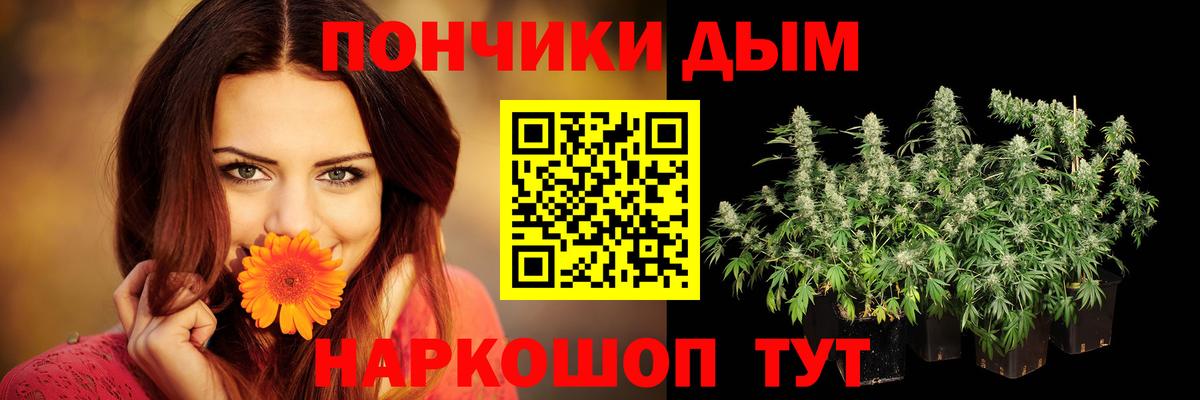 Шишки марихуана планчик  Марихуана план  Коркино  Вход с VPN 